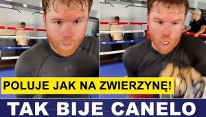 TAK BIJE CANELO: POLUJE JAK NA ZWIERZYNĘ