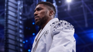 JOSHUA I FURY STOCZĄ DWIE WALKI